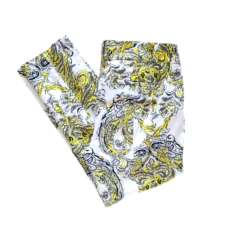 250. Ann Taylor Carnegie Crop Size 6